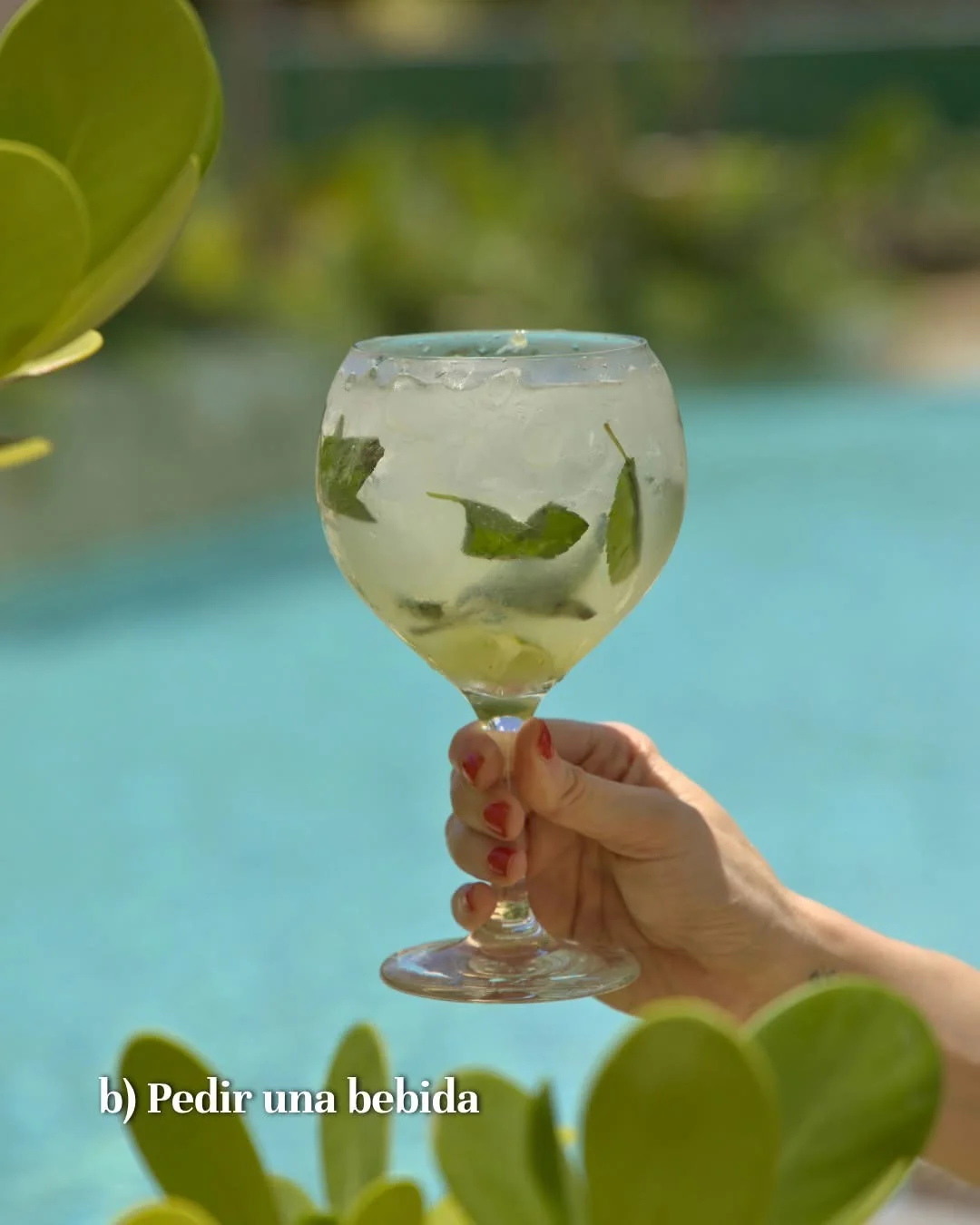 Coctel junto a la alberca
